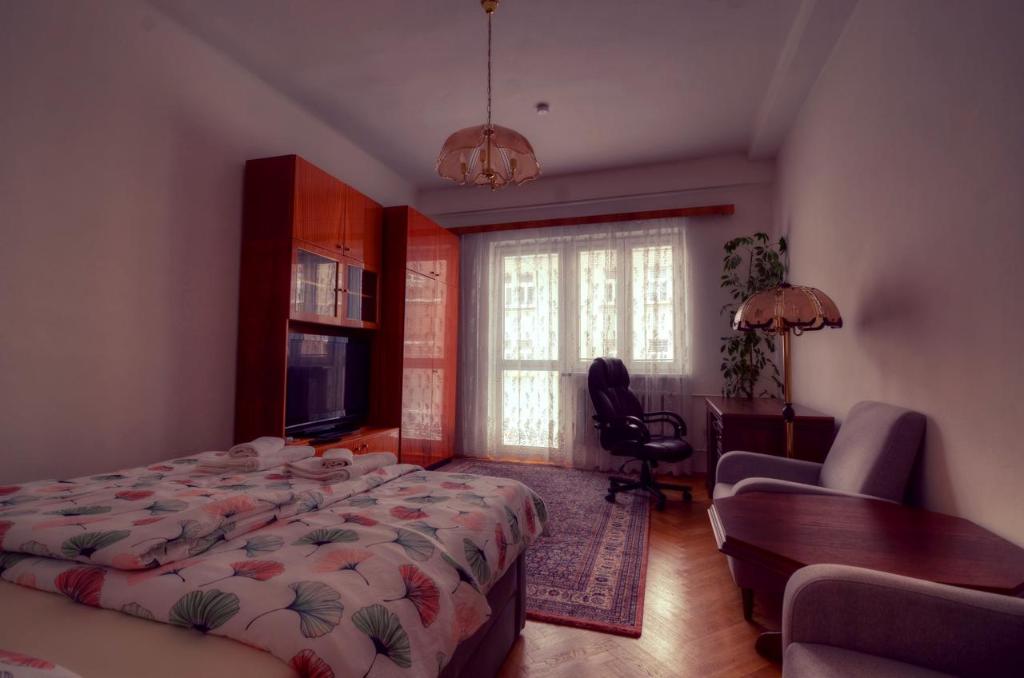 布拉格Apartment Anna Vysehrad的一间卧室配有一张床、一张沙发和一个窗口
