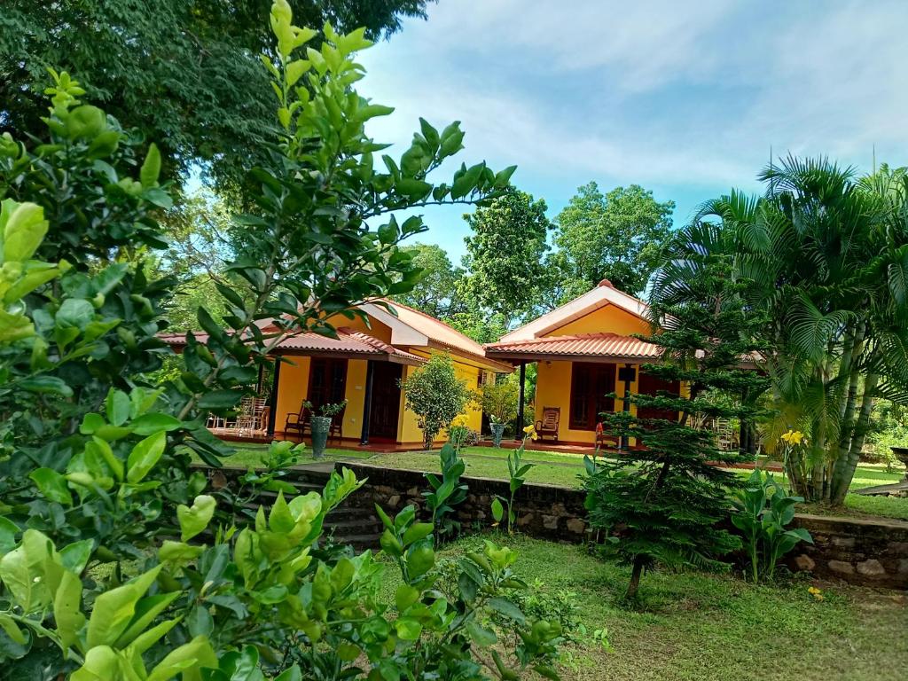 蒂瑟默哈拉默Amazon Cabanas的树中间的一个小黄色房子