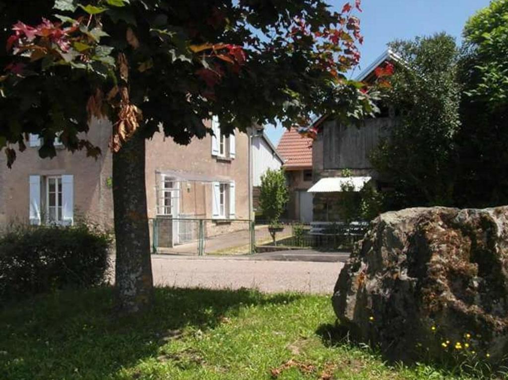 Breurey-lès-FaverneyGîte Chez Deplante的草上有一棵树和一块岩石的房子