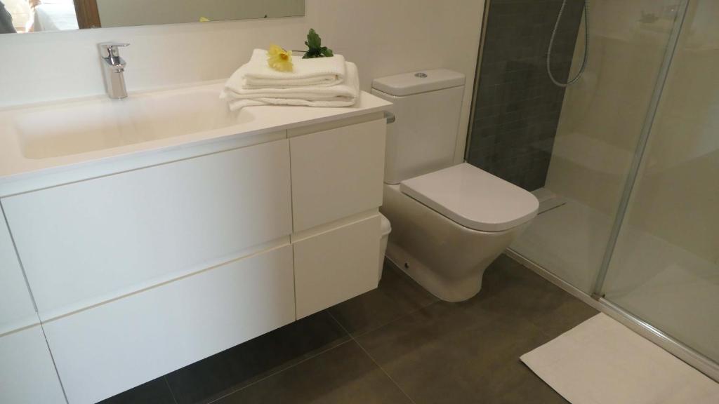卡拉费尔Face à La Mer的浴室配有卫生间、盥洗盆和淋浴。