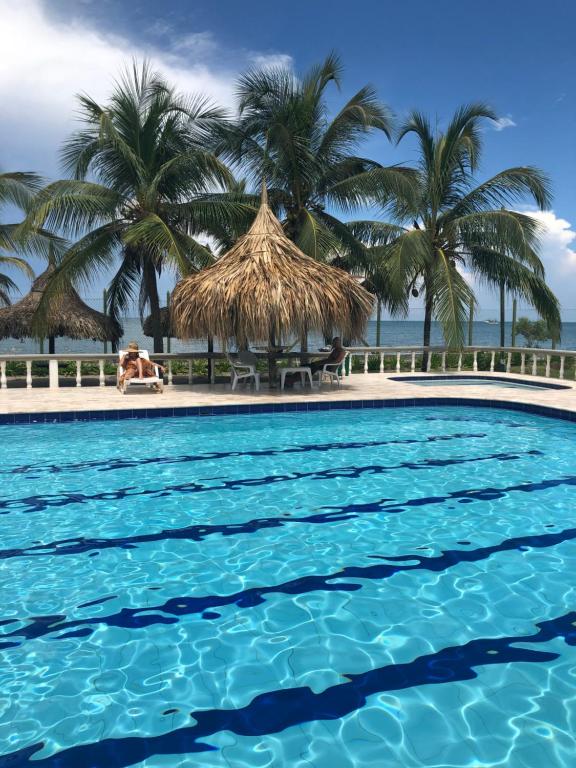 托卢Alquiler casa en la playa, Tolu的一座棕榈树环绕的游泳池