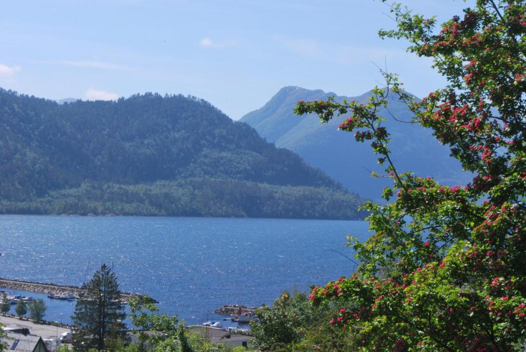 Sjøholt舍霍尔特露营酒店的享有以山脉为背景的湖泊美景