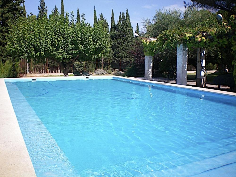 穆罗德亚尔科伊艾尔乡村民宿的一个种有树木的大型蓝色游泳池
