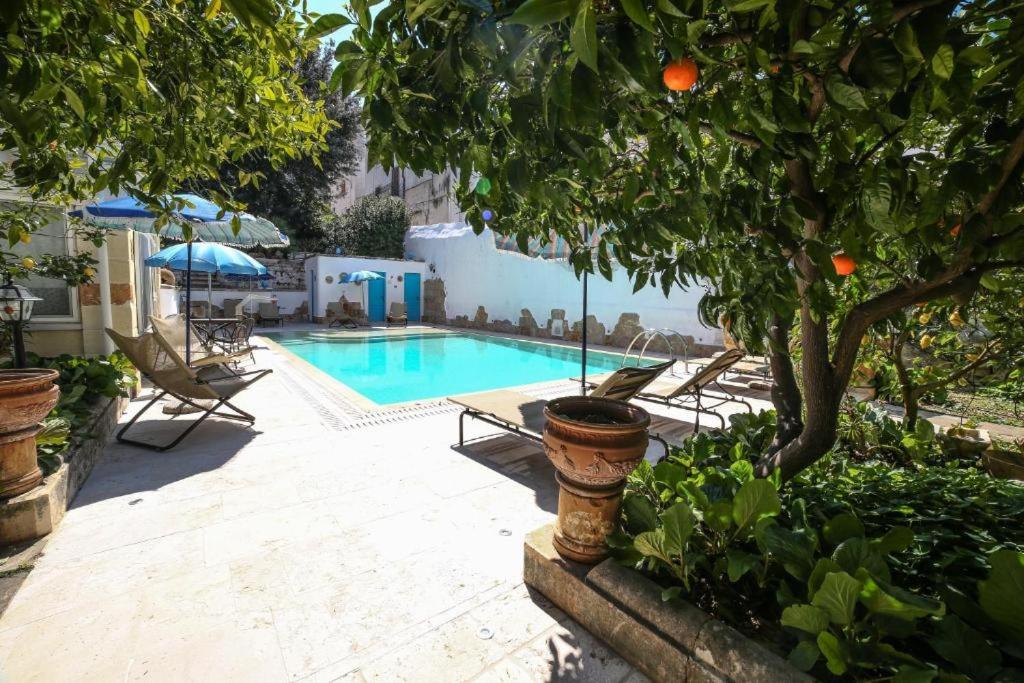奥斯图尼阿尔塔维拉大厦公寓的游泳池旁设有椅子和橘子树