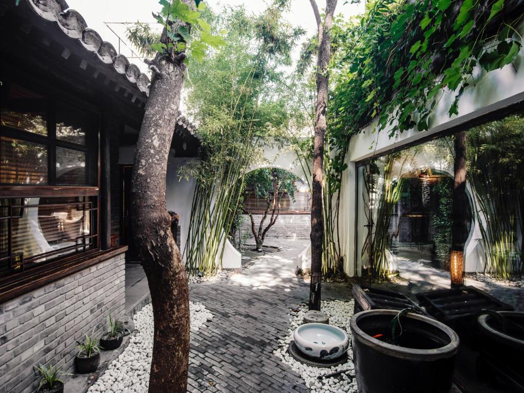 北京兰花宾馆的庭院里种着一棵树和一些盆栽植物