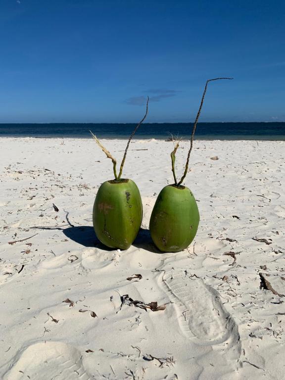 蒙巴萨Elegant Studio Bamburi Beach的沙滩上两块绿色水果