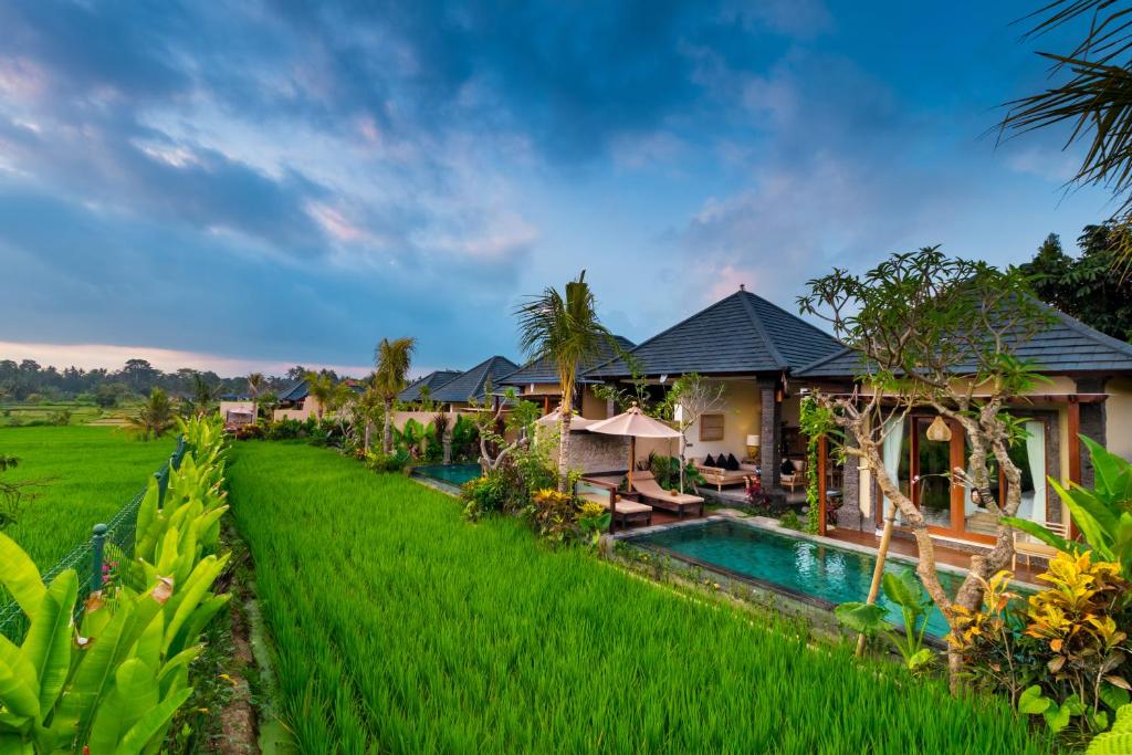 乌布Bliss Ubud Spa Resort的稻田别墅 - 带游泳池