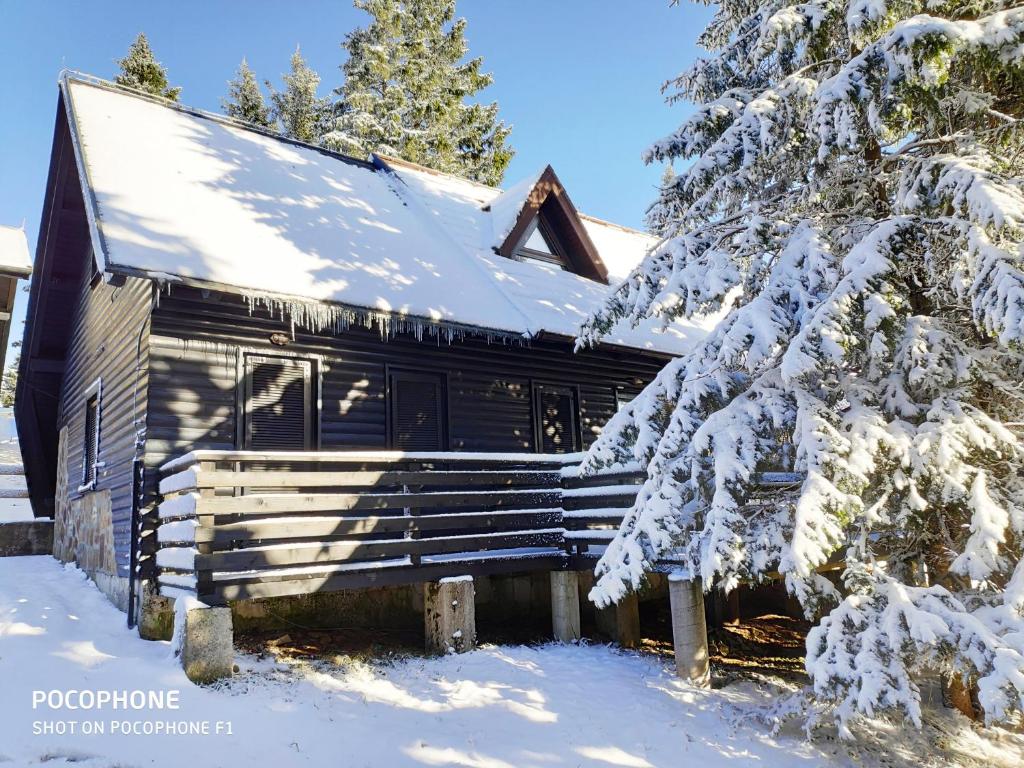 兹雷切Tree Top Rogla Apartment的相册照片