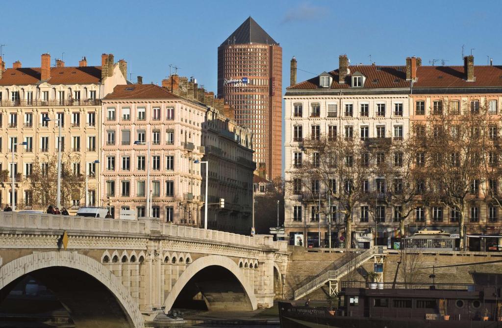 里昂里昂丽笙酒店的一座建有建筑物的城市里河流上的桥梁