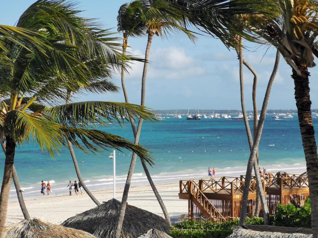 蓬塔卡纳Villas Tropical Los Corales Beach & Spa的棕榈树海滩和海洋