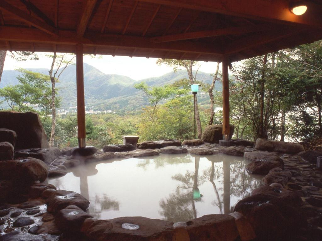 箱根森克约罗日式旅馆的山景热水浴池
