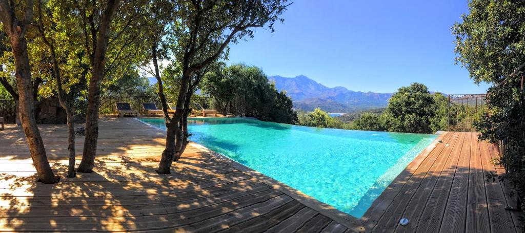 蒙蒂塞洛皮塔特拉酒店的一座树木和山脉环绕的游泳池