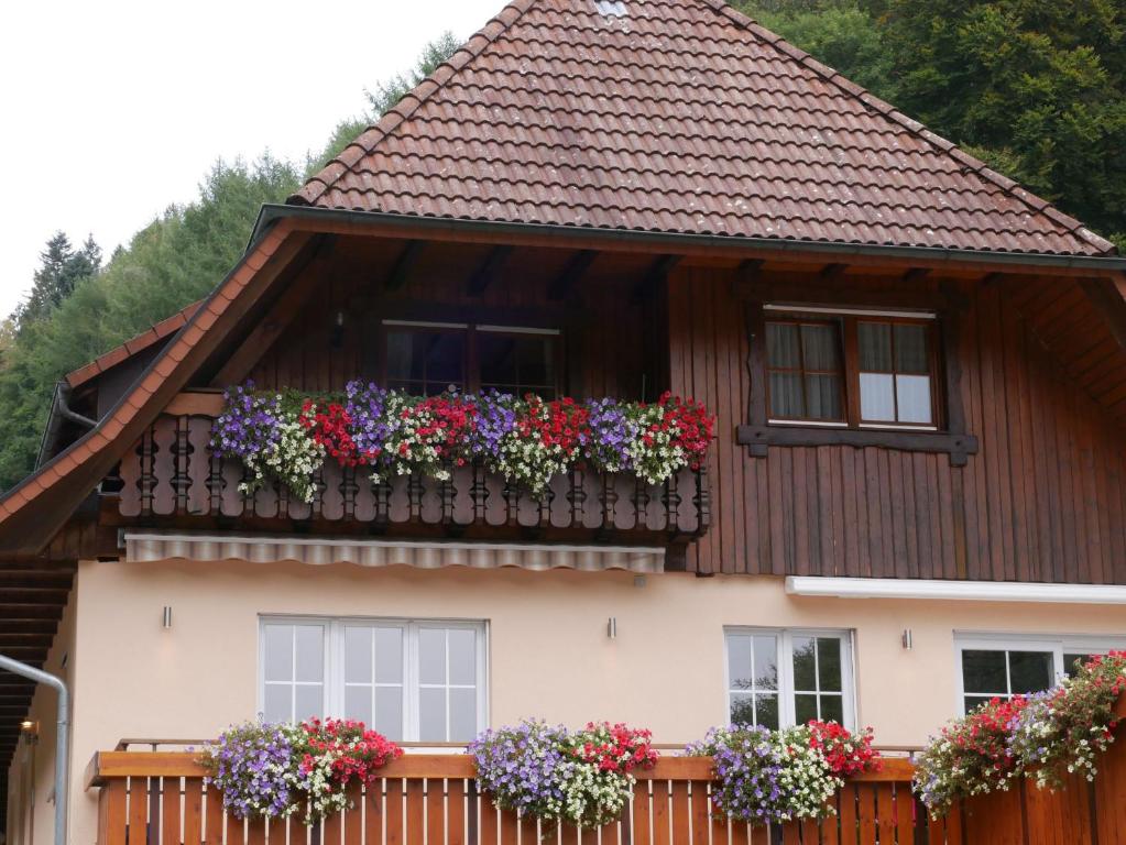 沃尔法赫Schillingerhof的阳台上放着花盒的房子