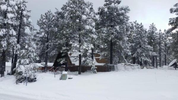 弗拉格斯塔夫Flagstaff Chalet的一座被雪覆盖的公园,里面种满了树木,还有一个游乐场