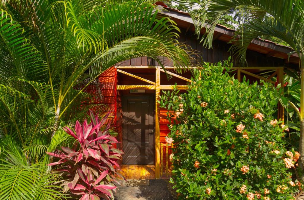 Hotel Heliconias Nature Inn &amp; Hot Springs外面的花园