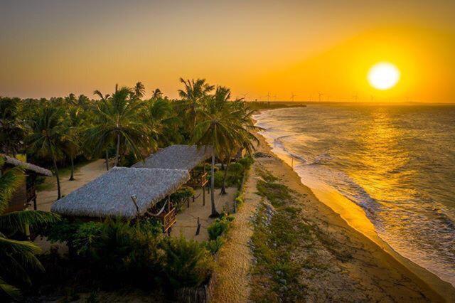 普拉亚德莫伊塔斯Pousada Lacula的日落时分拥有棕榈树和海洋的海滩