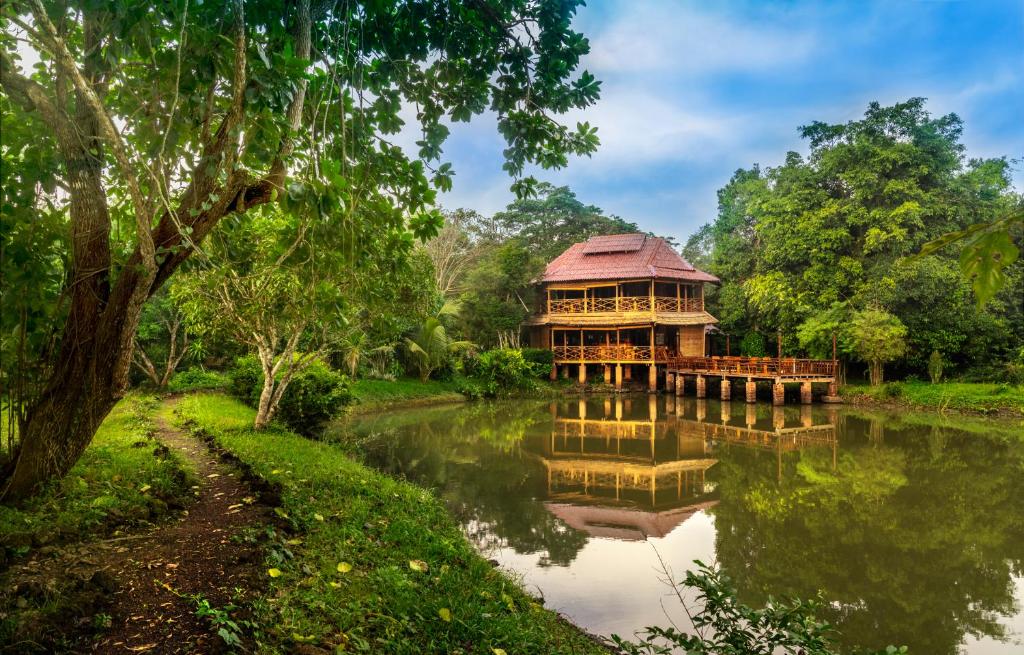 Ban Kian-NgôngKingfisher Ecolodge的一座树木繁茂的河流上的木制大建筑