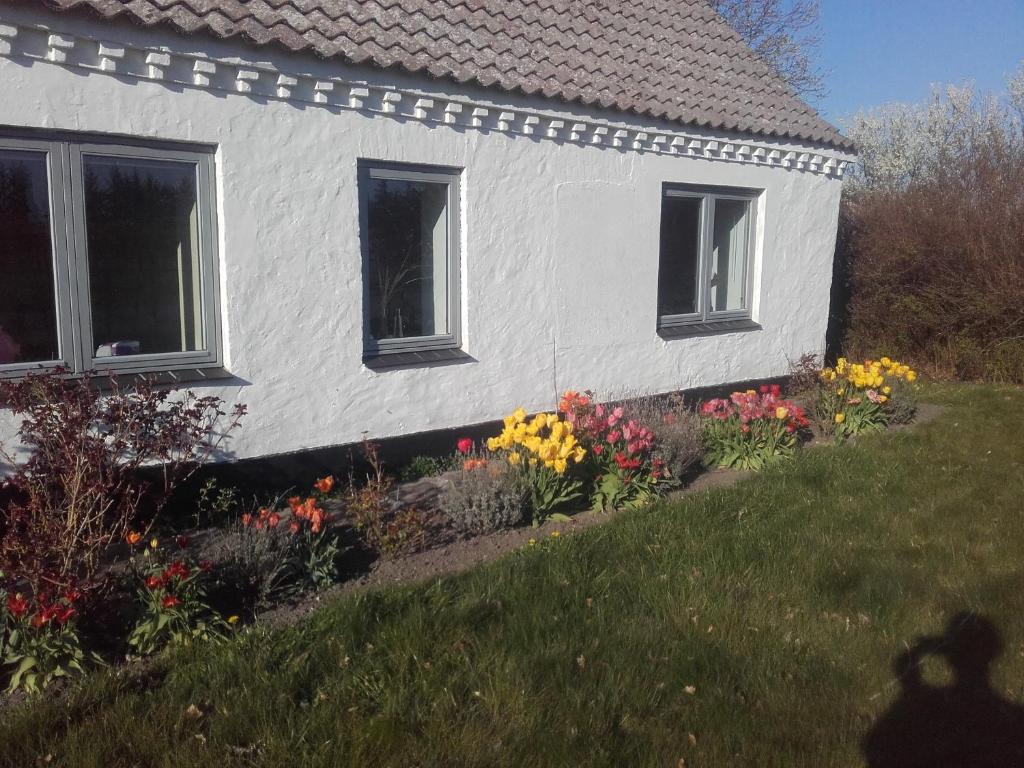 菲耶里茨莱乌Lindholt的前面有鲜花的白色房子