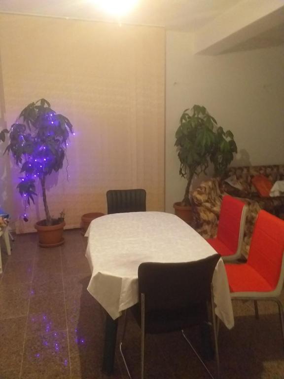 布雷亚扎Vila Elena si Ionut的一间设有桌子和两把椅子及植物的房间