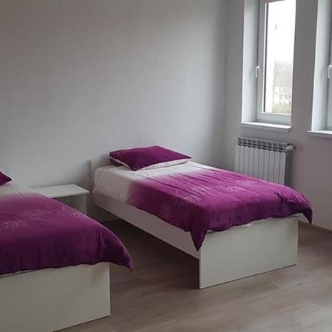 戈乌达普Lula的一间卧室设有两张带紫色床单的床和窗户。