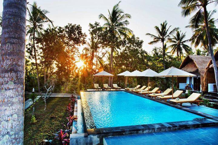 珀尼达岛Bintang Hostel and Homestay的一个带躺椅和棕榈树的度假游泳池
