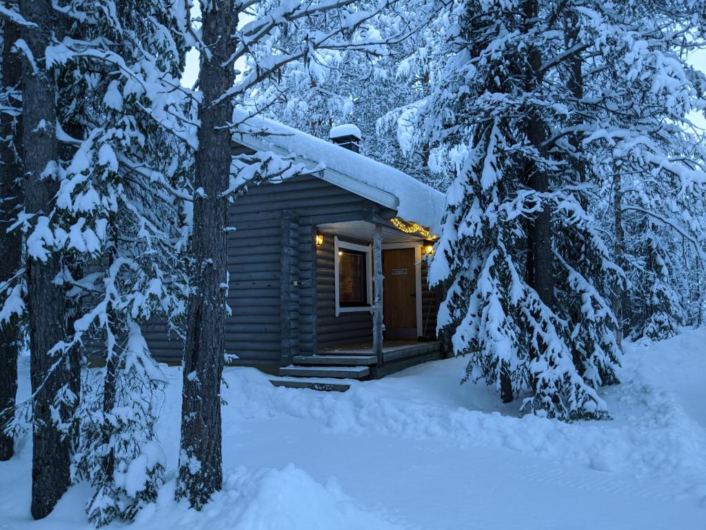 阿卡斯洛姆波罗图瑞奥拉瓦特酒店的雪中树林里的小木屋