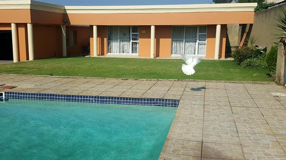 约翰内斯堡SunSet West Self Catering Maraisburg Roodepoort的鸟飞过房子旁边的游泳池