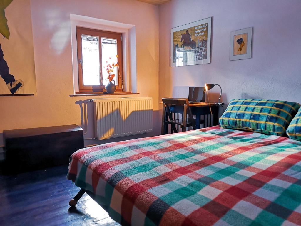 克拉尼斯卡戈拉Kranjska Gora Family Break的一间卧室设有一张床、一个窗口和一张桌子