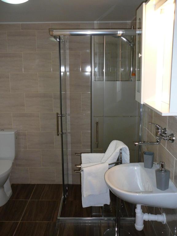 迪耶河畔弗拉诺夫Apartman Modry dum的带淋浴、盥洗盆和卫生间的浴室