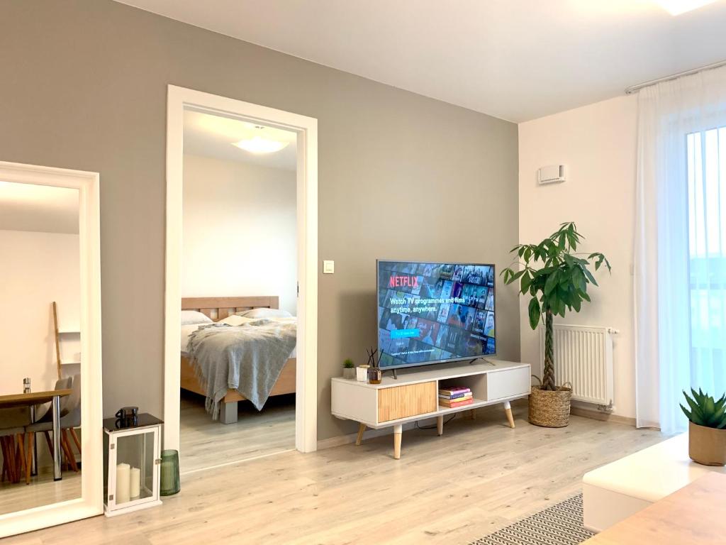 布拉迪斯拉发Elegant, bright spacious apartment in Bratislava center的带电视的客厅和卧室