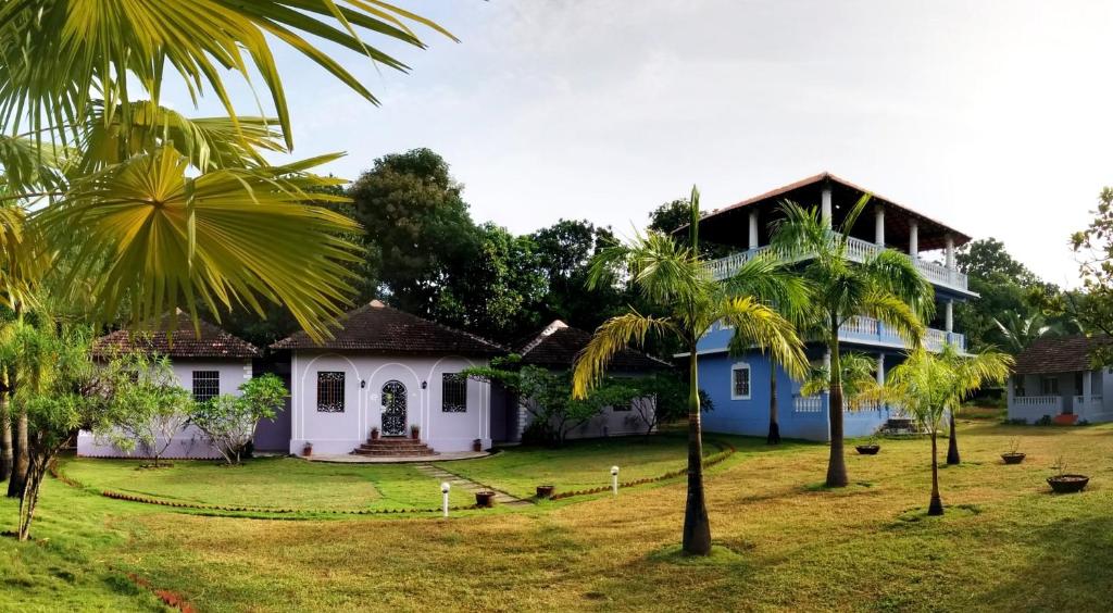 曼德姆阿瓦隆住宿加早餐旅馆的前面有棕榈树的房子