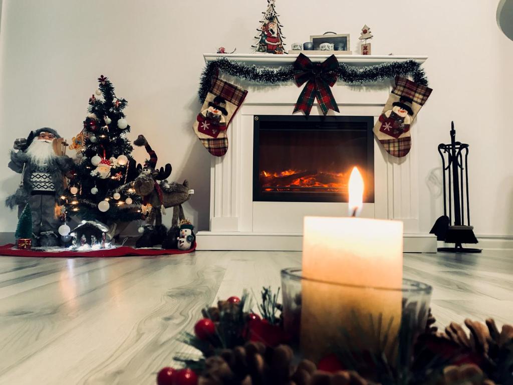 布拉索夫Condmari Residential Apartament的客厅设有壁炉和圣诞树