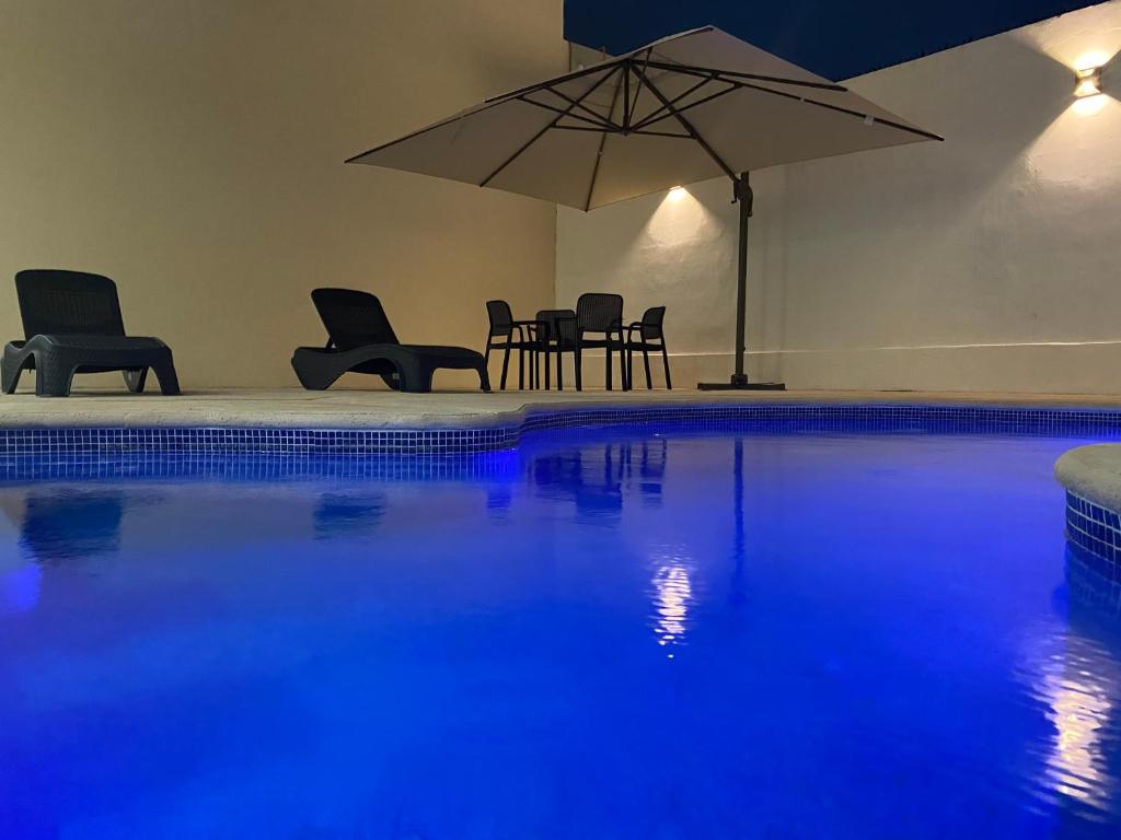 普拉亚卡门Hotel Ambra的一个带椅子和遮阳伞的游泳池