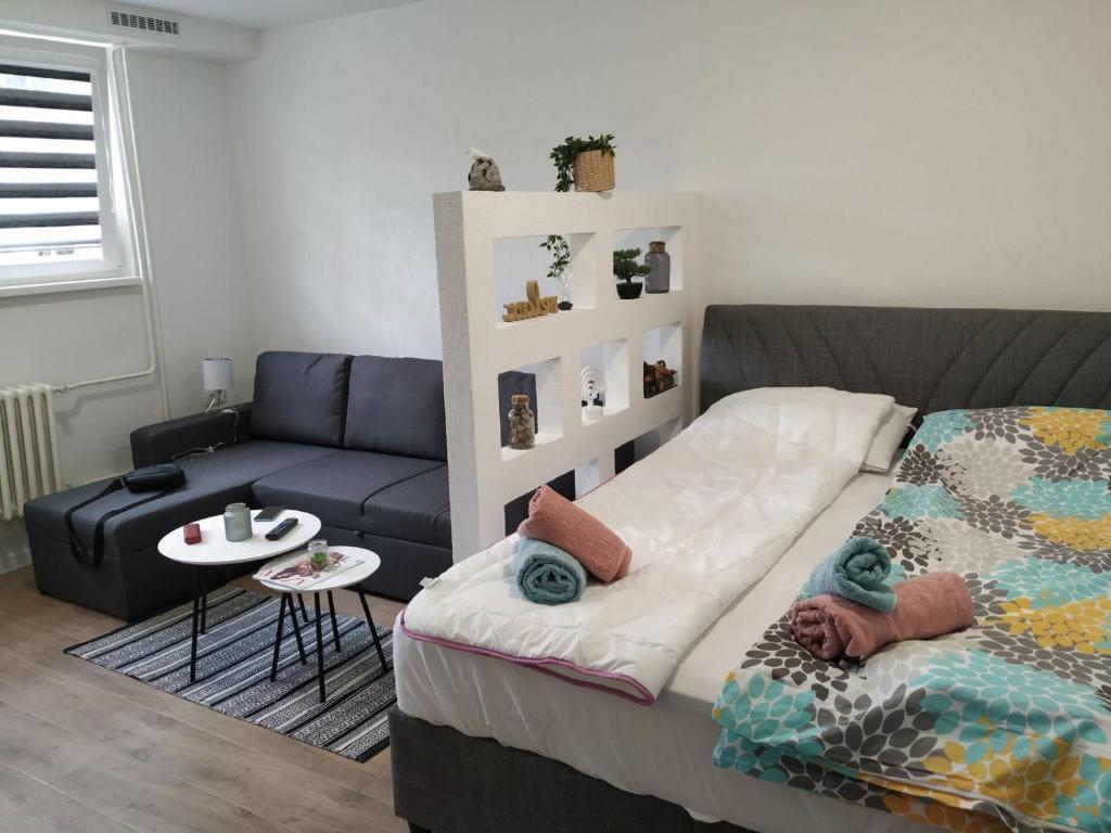 萨拉热窝Apartman Dejna的客厅配有床和沙发
