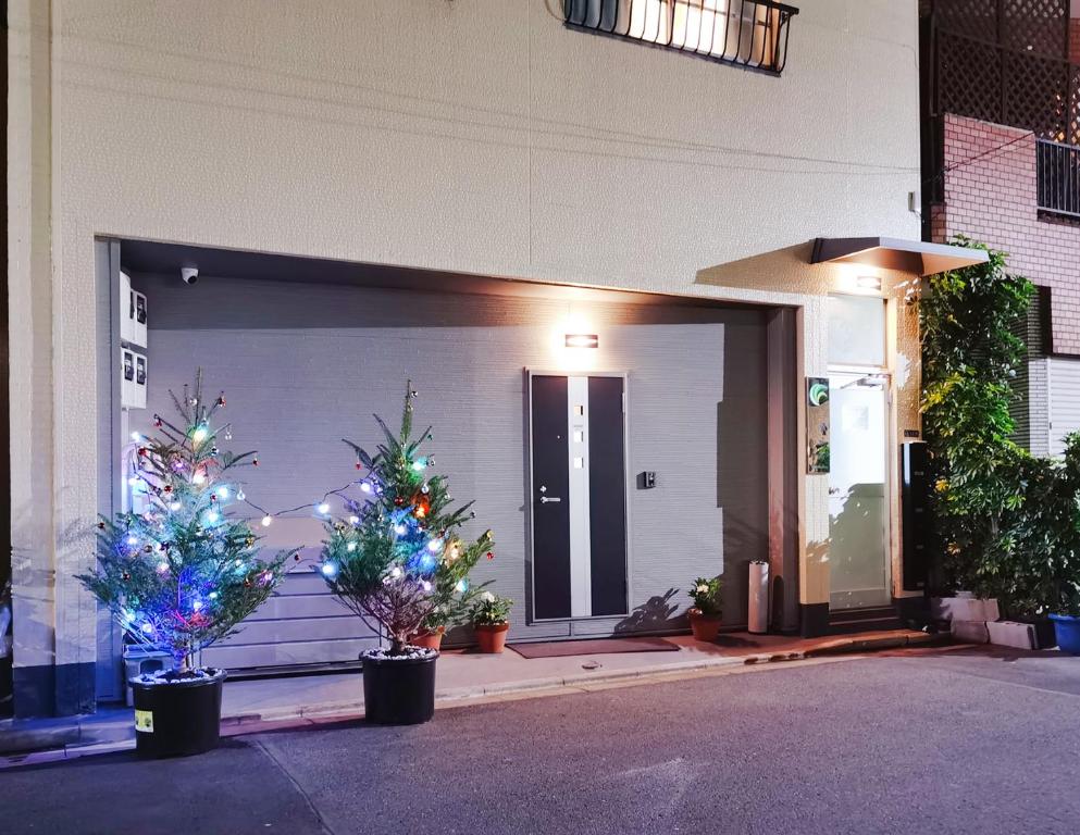 东京Mitsuba Guest House的车库前两棵圣诞树,在盆子中