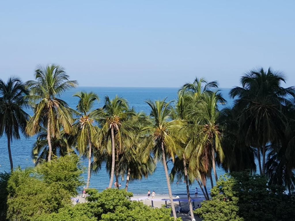 圣玛尔塔Apartamentos Playa Rodadero的海滩上一棵棕榈树和大海