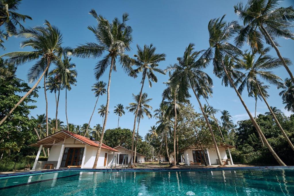 坦加拉Simply Peace的棕榈树环绕的度假村游泳池