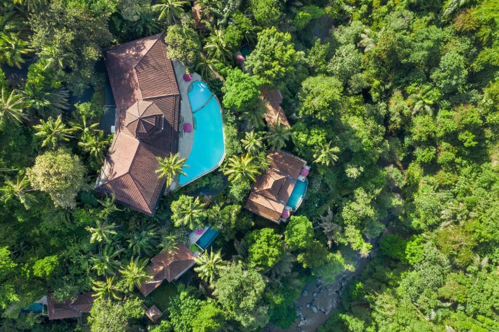 帕洋安Ayung Resort Ubud的丛林中度假村的顶部景色