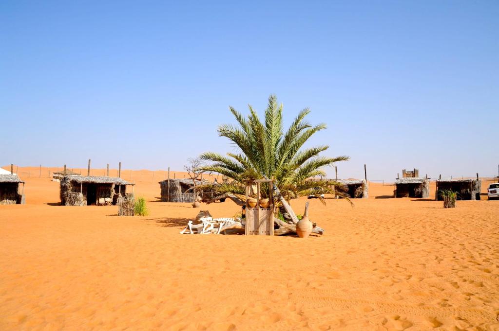 Al WāşilNomadic Desert Camp的沙漠中间的棕榈树