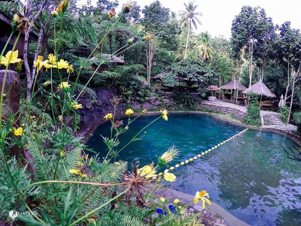 杜马格特Pulangbato Falls Mountain Resort的花园中种满鲜花的游泳池
