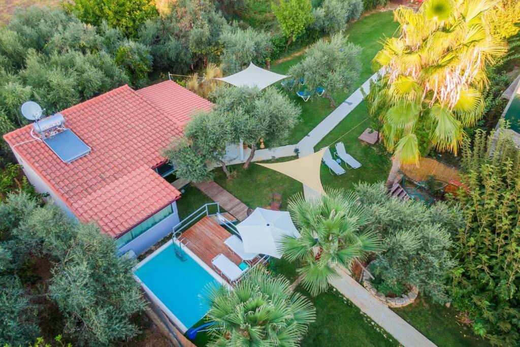 阿基阿婆斯托里Green House 2的享有带游泳池和树木的度假屋的顶部景致