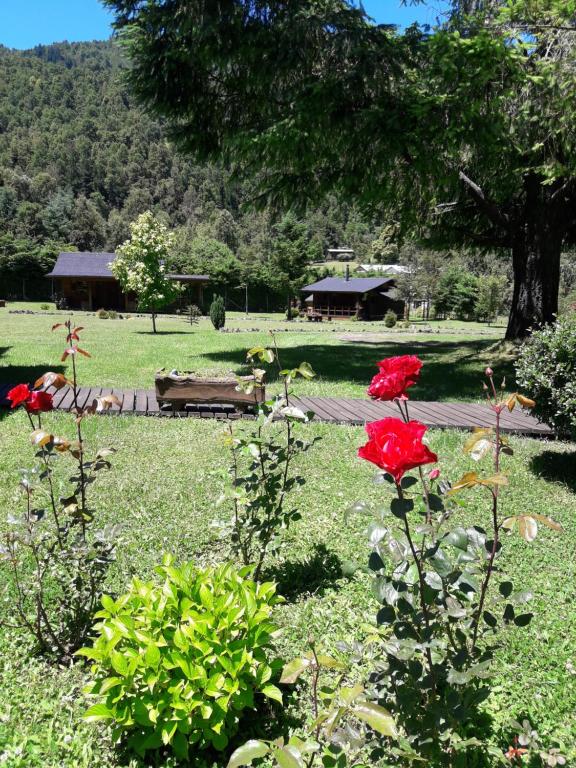 卡布尔瓜Dos Oregones Caburgua的草上种着长凳和红花的公园