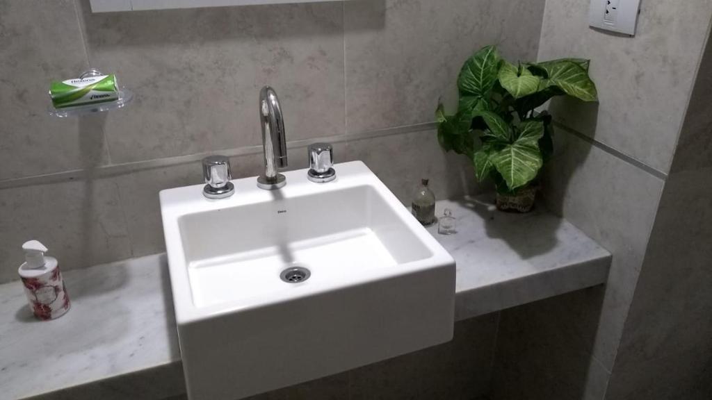 圣米格尔·德·图库玛relajado monoambiente的盆栽浴室内的白色水槽