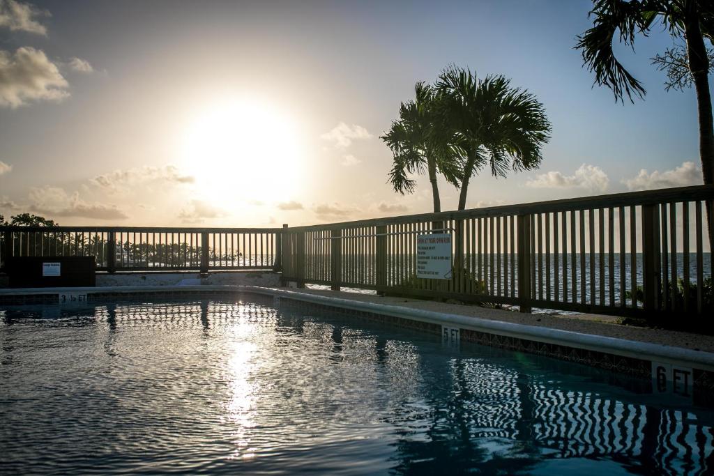 伊斯拉莫拉达Ragged Edge Resort & Marina的一个带围栏和棕榈树的游泳池