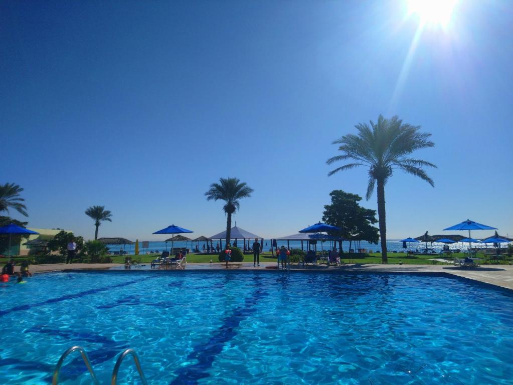 乌姆盖万Flamingo Beach Hotel的一座棕榈树和海洋的大型游泳池