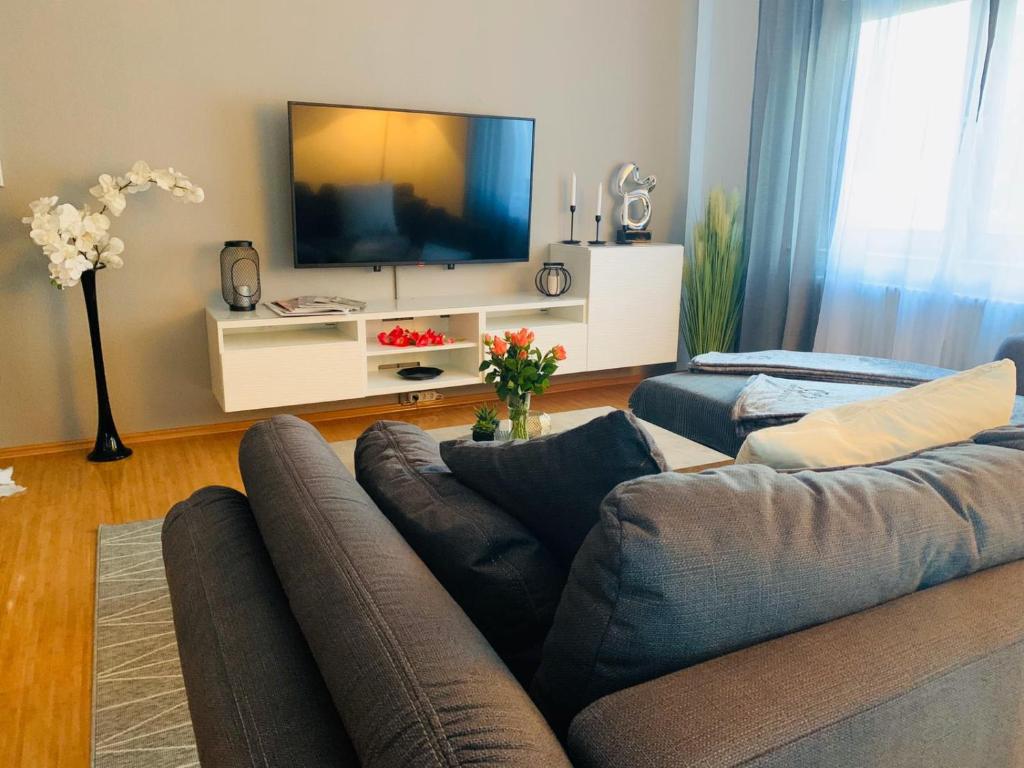巴登-巴登MH City Apartment Baden-Baden的带沙发和平面电视的客厅