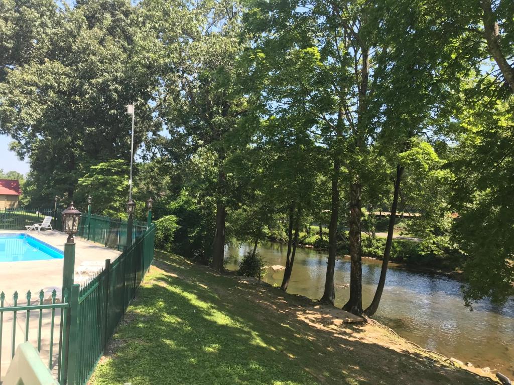 鸽子谷The River Cottage的一座游泳池,毗邻一条树木繁茂的河流