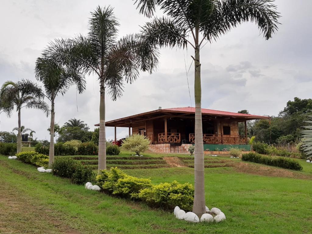 圣何塞德尔瓜维亚雷Casa Campestre Reina María的公园内种有棕榈树的房子