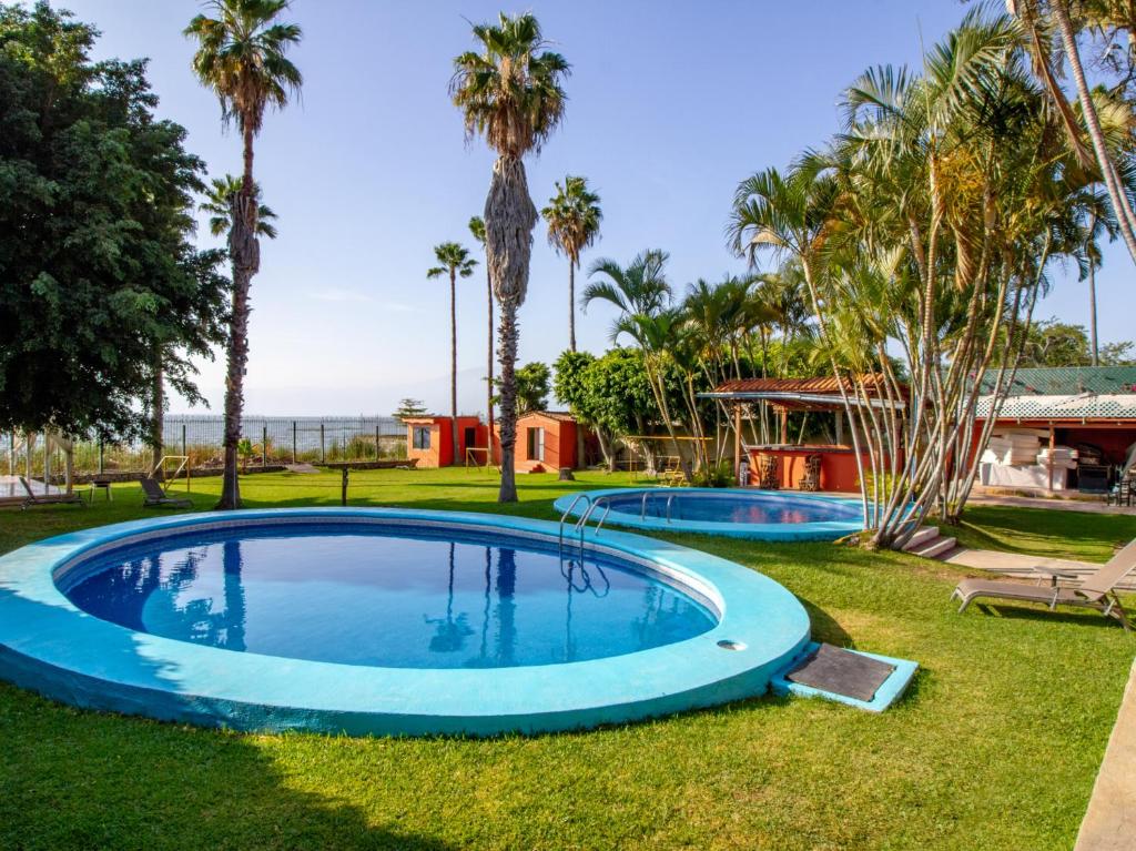 阿吉吉克Hotel Villas Ajijic, Ajijic Chapala Jalisco的棕榈树和房屋的游泳池