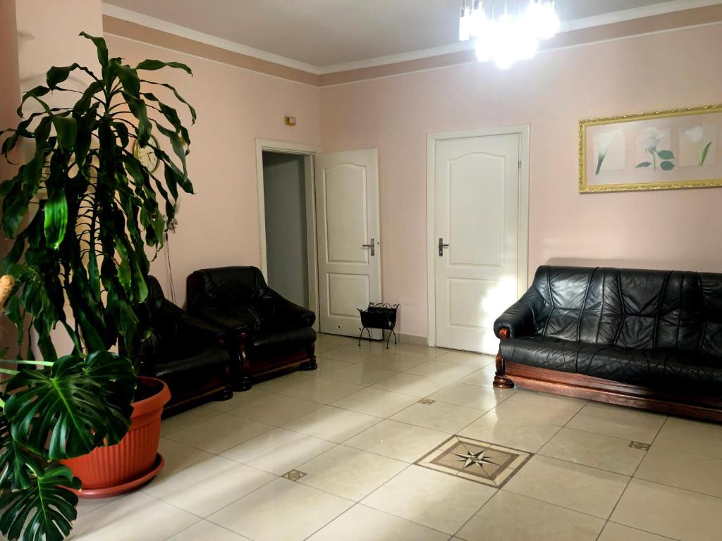 ChervonogradComfort Hotel的客厅配有两张黑色皮革沙发和植物